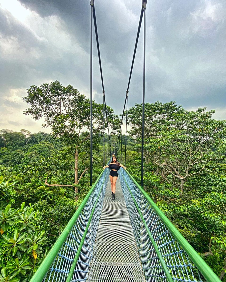 EFFrance's tweet photo. Retour sur les meilleures photos de nos étudiants pendant leur séjour à l’étranger ces derniers mois ! #throwbackthursday 😍🌴🌍 #efmoment https://t.co/wgYIPx1AHP