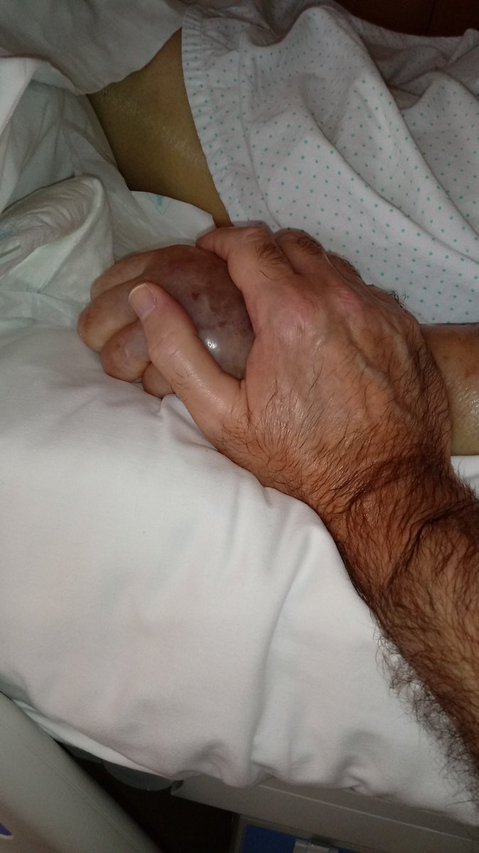 Seba Enri S. García 🏀🌹💕 tweet media