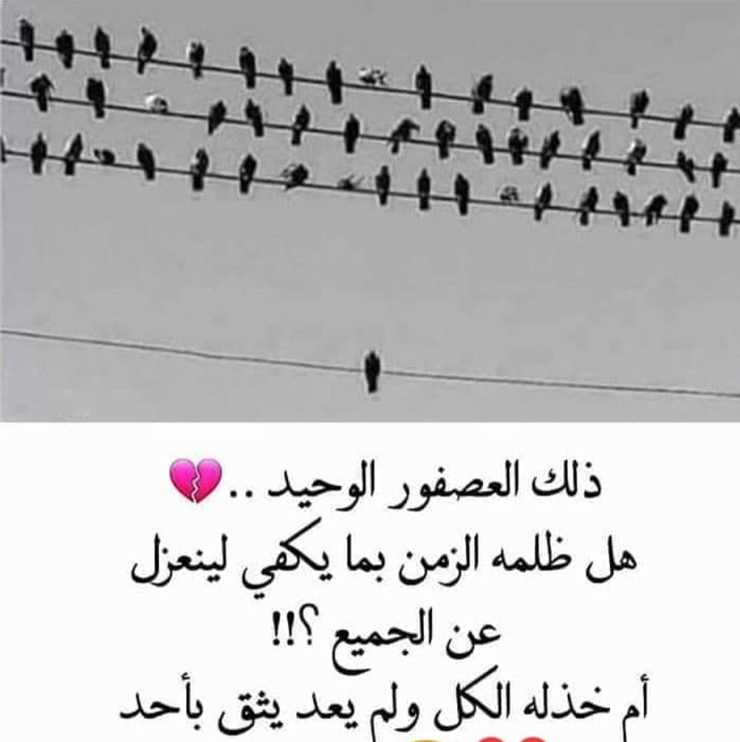 لاتندم على ود بذلته لمن لا يستحقه .. فالغيث لا يتخيَّر مجاريه ..!