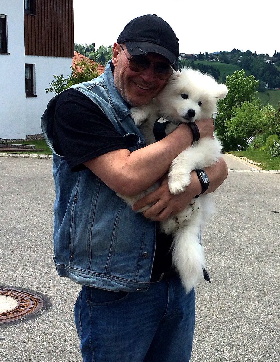 ReinhardH12's tweet photo. Mal wieder etwas zu meinem Hund „Yuki“:
Samojeden sind nicht nur wahnsinnig süß in ihrer Kindheit,sie sind auch,wenn sie erwachsen sind,wunderschöne und wunderbare Hunde,die sehr stur sein können,aber absolut friedlich und lieb sind.
Lustig sind sie zudem auch 😊
#welovesammys https://t.co/QbwfKOiyrw