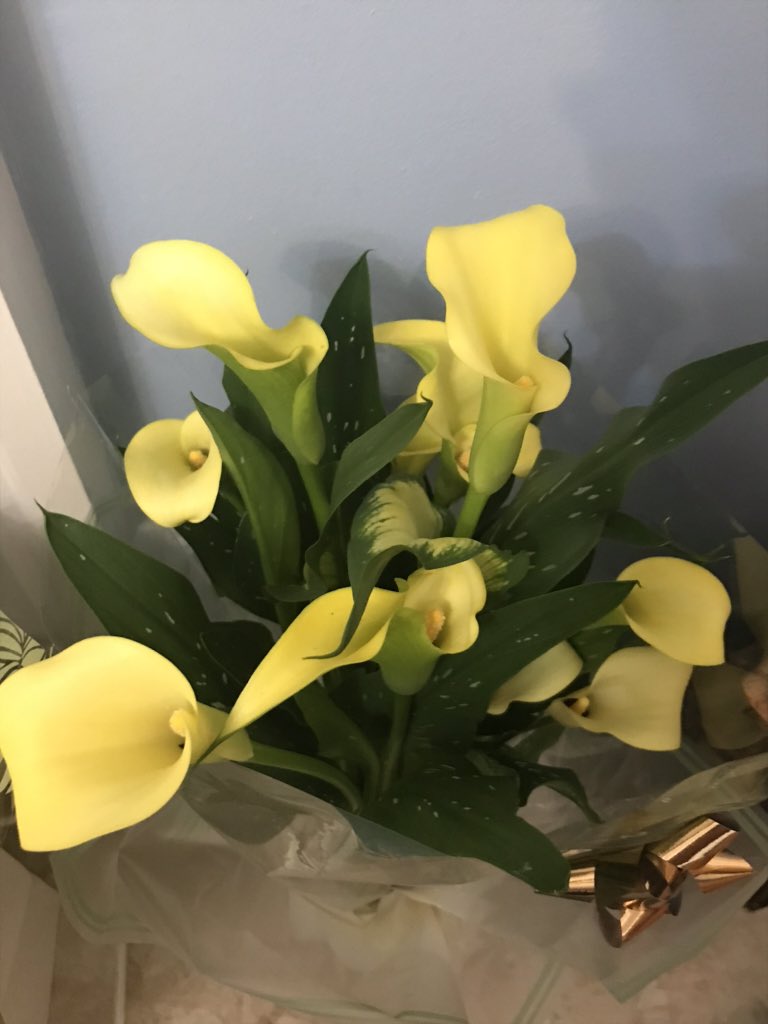 Donald_1983's tweet photo. A lovely birthday surprise from my fab colleagues at @ClinicalP3 Looking forward to seeing you all again next week @ForsythHf @GezRichell @mawdes @constipationyan #TeamP3 https://t.co/tWwt0RNsgr
