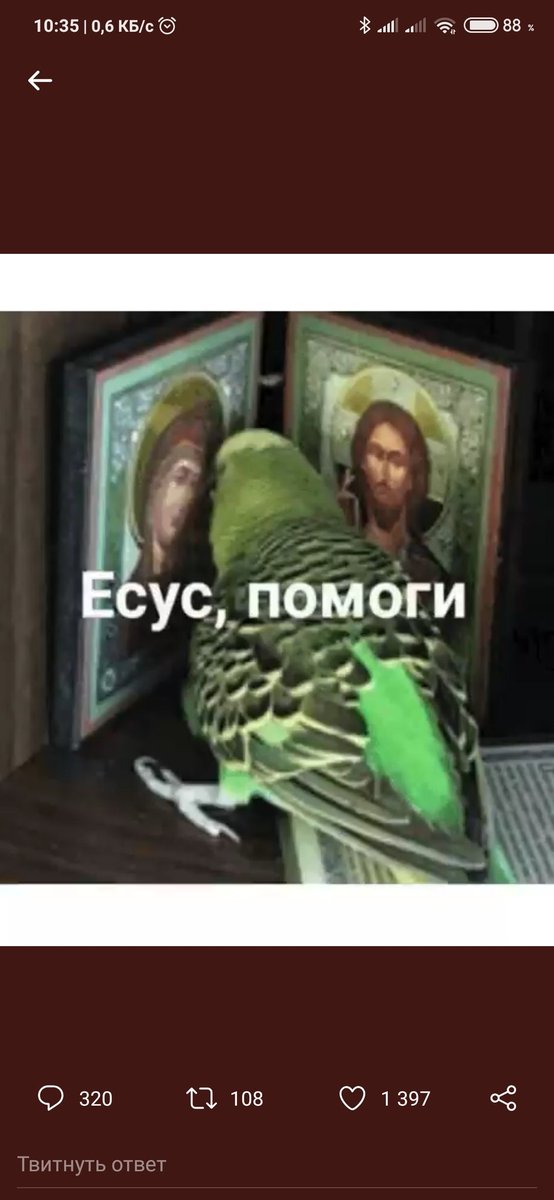 asxtz's tweet photo. сука я ору https://t.co/CUJCtzknxS