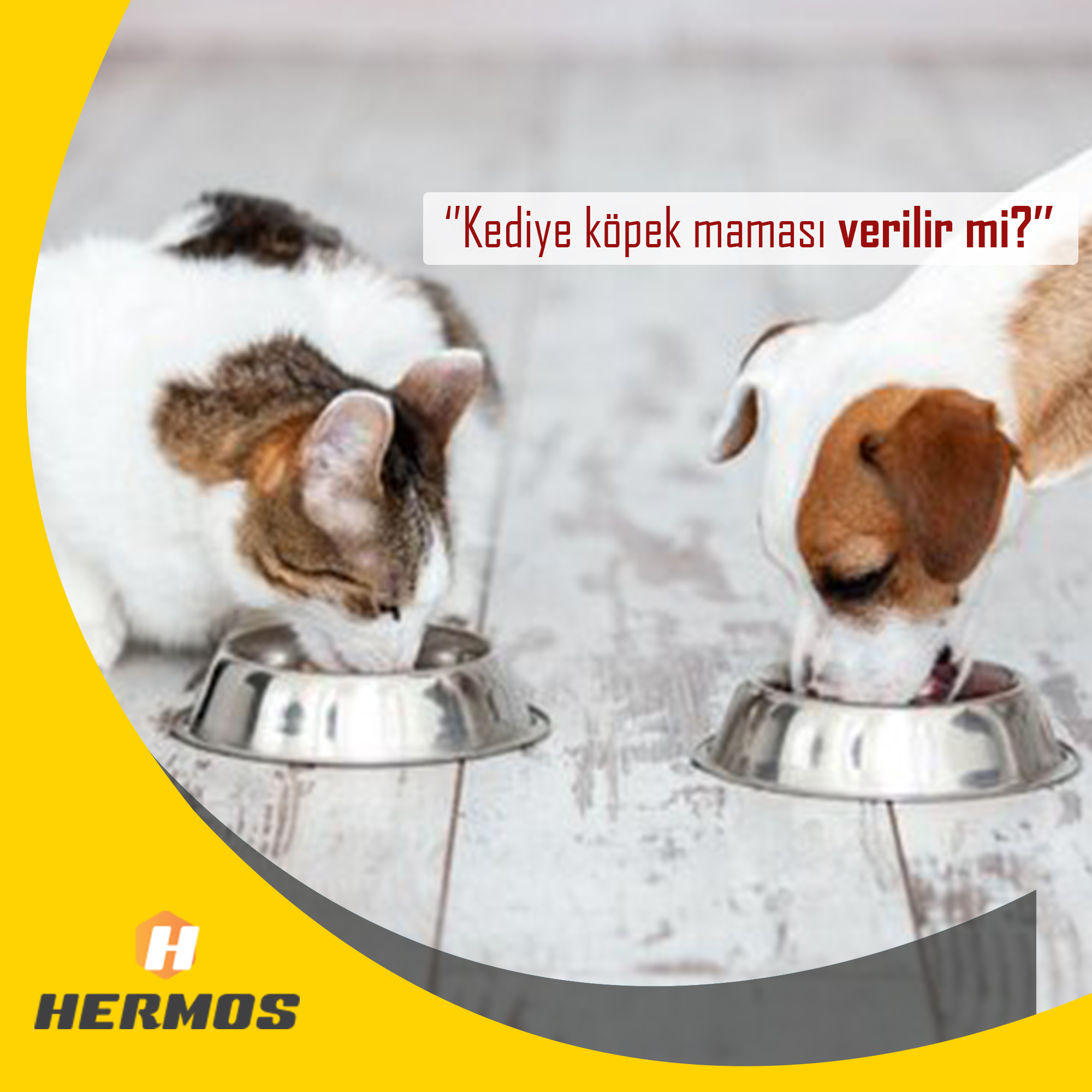 Hermos Pet Food On Twitter Kediye Kopek Mamasi Vermek Zararli Mi Kedi Ve Kopek Mamalari Benzer Iceriklere Sahip Olabilirler Ancak Kedi Mamalari Kedilerin Ihtiyaclarina Uygun Olarak Uretilmistir Daha Cok Protein Iceren Kedi Mamalari Bazi Vitaminlerle