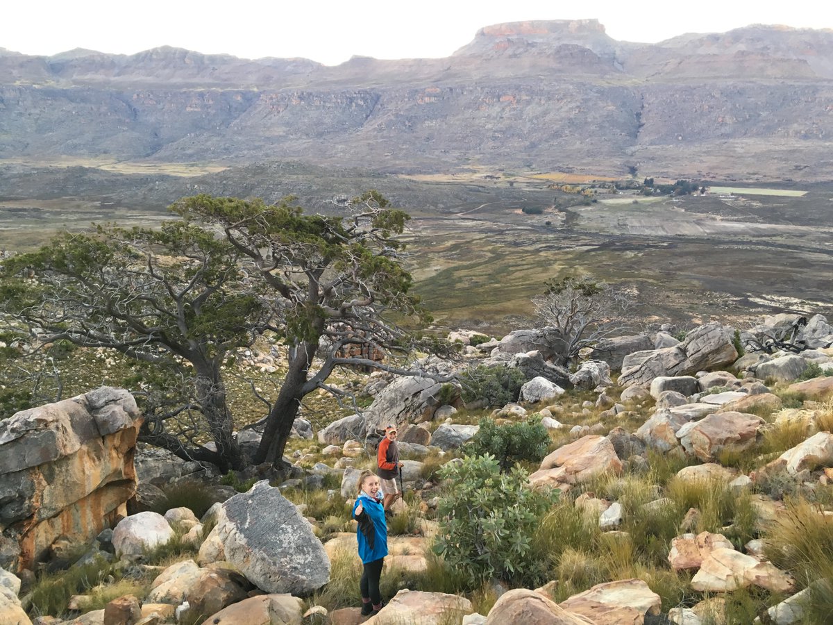 This has been a long-haul passion project that budded ±7 years ago and I'm incredibly grateful to the several collaborators and field researchers on this project who all helped get it to print! @BernardScience  @OTSSouthAfrica  @BioSciUCT  http://doi.org/10.1016/j.gecco.2020.e01062