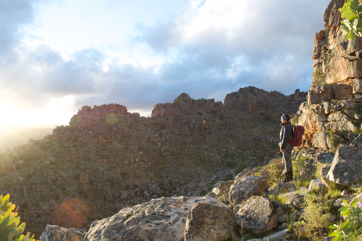 This has been a long-haul passion project that budded ±7 years ago and I'm incredibly grateful to the several collaborators and field researchers on this project who all helped get it to print! @BernardScience  @OTSSouthAfrica  @BioSciUCT  http://doi.org/10.1016/j.gecco.2020.e01062