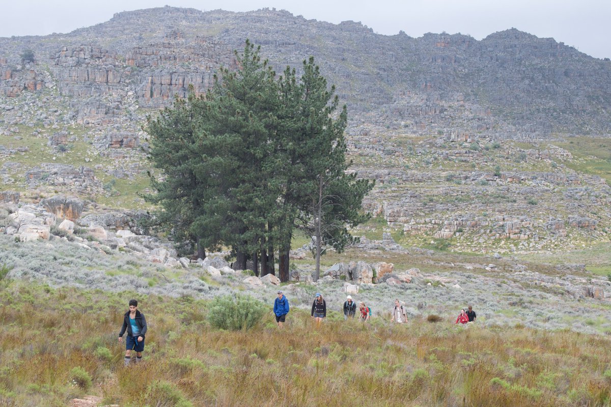 This has been a long-haul passion project that budded ±7 years ago and I'm incredibly grateful to the several collaborators and field researchers on this project who all helped get it to print! @BernardScience  @OTSSouthAfrica  @BioSciUCT  http://doi.org/10.1016/j.gecco.2020.e01062