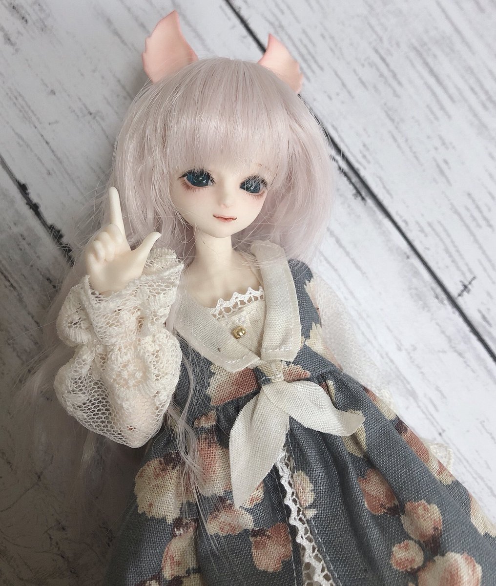 mimomodoll's tweet photo. 念願のボディ届いた〜〜！可愛すぎてどうしよう😭💞 #ふにゃほわっ子 #ElfinStore #ココアS https://t.co/egAAuM1vHx