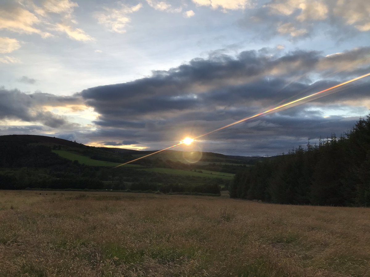 Grazing some beautiful spots at the moment - keeping rest times long to ensure max grass recovery and plenty of habitat for nature.