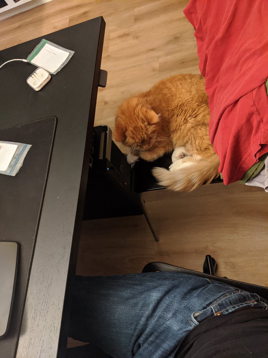 Well, it looks like he's here to reprise his role as my copilot as I work through some last-minute items while sitting at my desk.(Feat. laundry I was just not in the mood to deal with and my plastic IKEA desk chair for its resistance against clawing.)