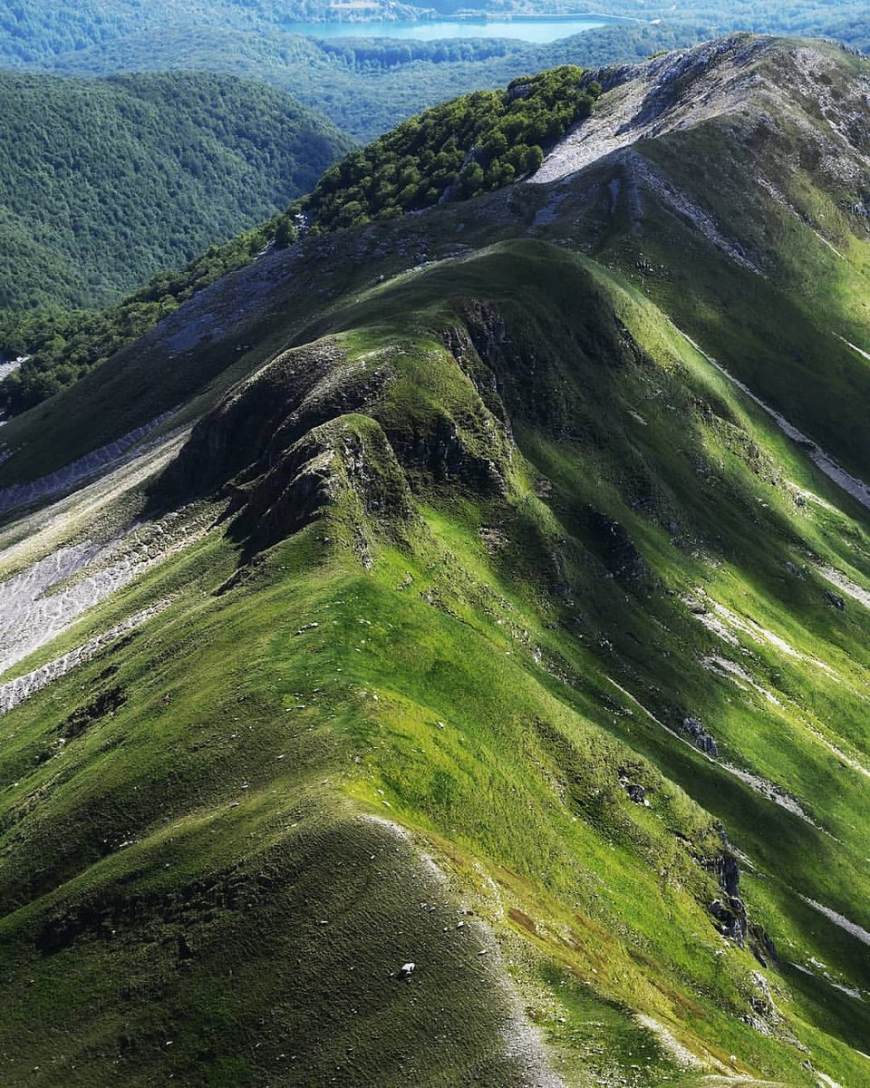 DiscoverMolise's tweet photo. Vieni con me? Ti porto dove il verde si confonde e le ombre inventano disegni mai visti.
#MonteMeta #DiscoverMolise https://t.co/DswP93xZAz