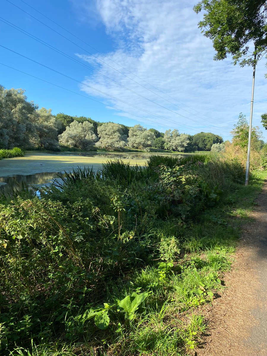 bradshaw5923's tweet image. The bike finally arrived so hopped on for my first journey into work - only 15 mins longer than my journey by car, through some beautiful scenery and even the parts on road weren't as bad as I thought....why did I not do this before!!