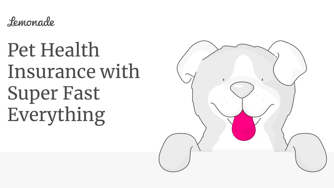 ITDS Business Consultants tweet media