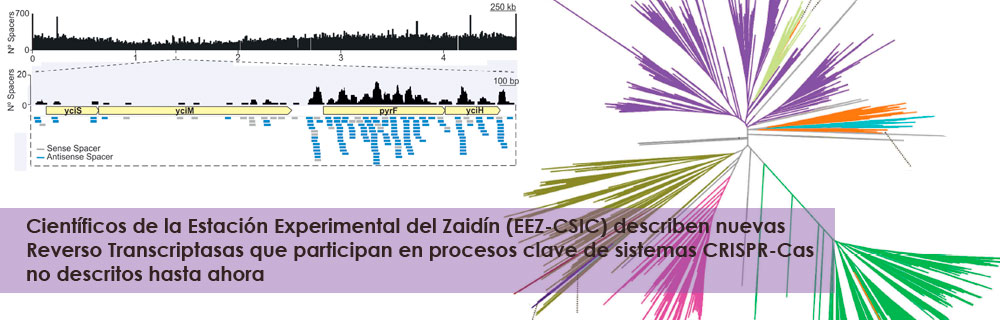 Estación Experimental del Zaidín (CSIC) tweet media
