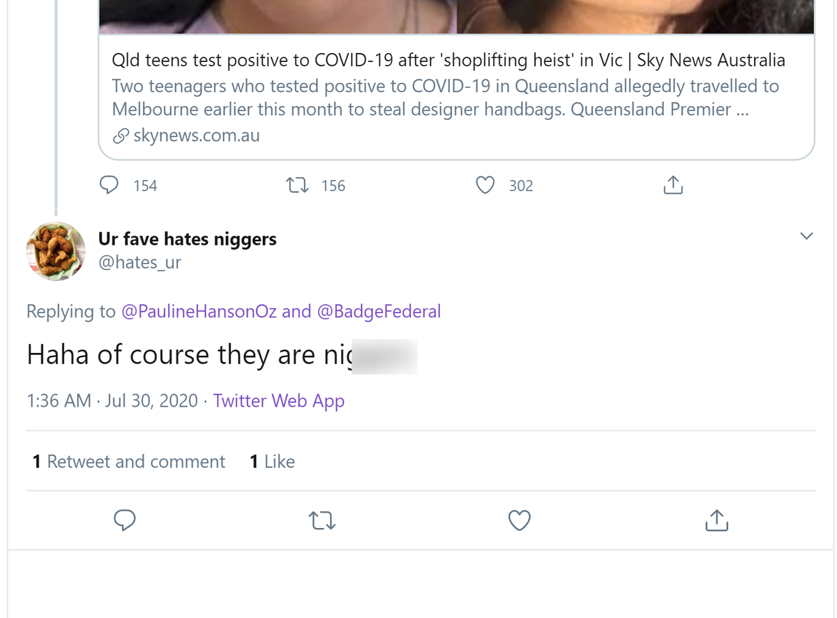 'It's not about race' volume 12 ( @PaulineHansonOz tweet responses):