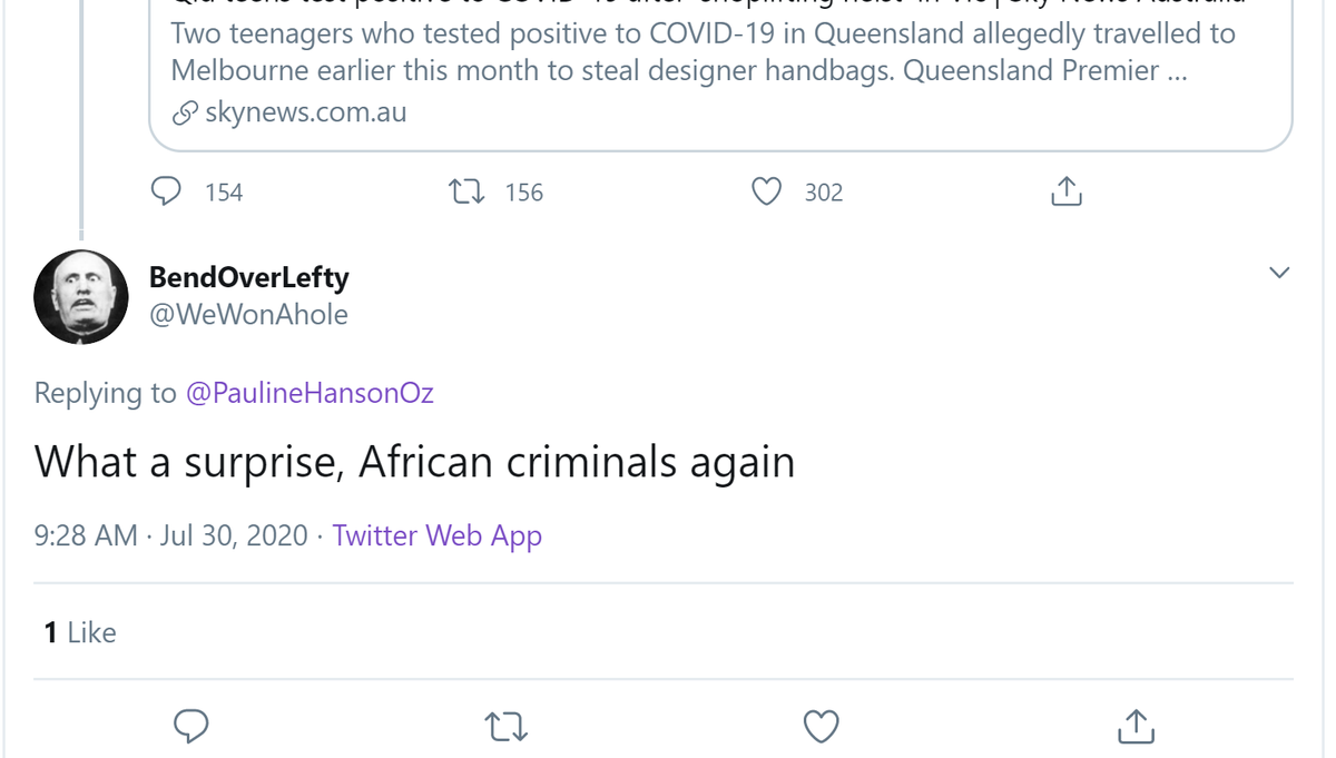 'It's not about race' volume 12 ( @PaulineHansonOz tweet responses):