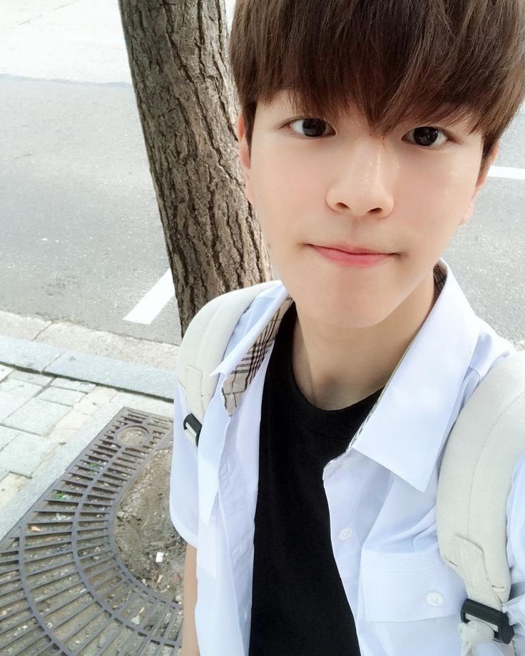 — seungmin as your boyfriend; a lovely thread  #StrayKids    #skz