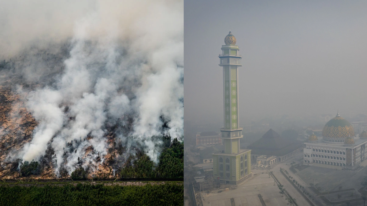 Faktanya: krisis iklim sudah di depan pintu:- Frekuensi dan intensitas banjir tahunan meningkat (2017 & 2020)- Musim kemarau panjang sudah menyebabkan puluhan ribu hektar gagal panen, sekaligus- Kekeringan yang menyebabkan kebakaran lahan sulit dikontrol (2015 & 2019)