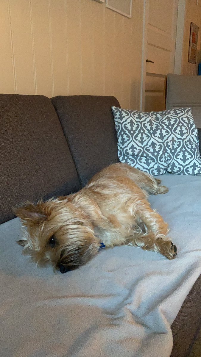 Eva Wurm tweet media