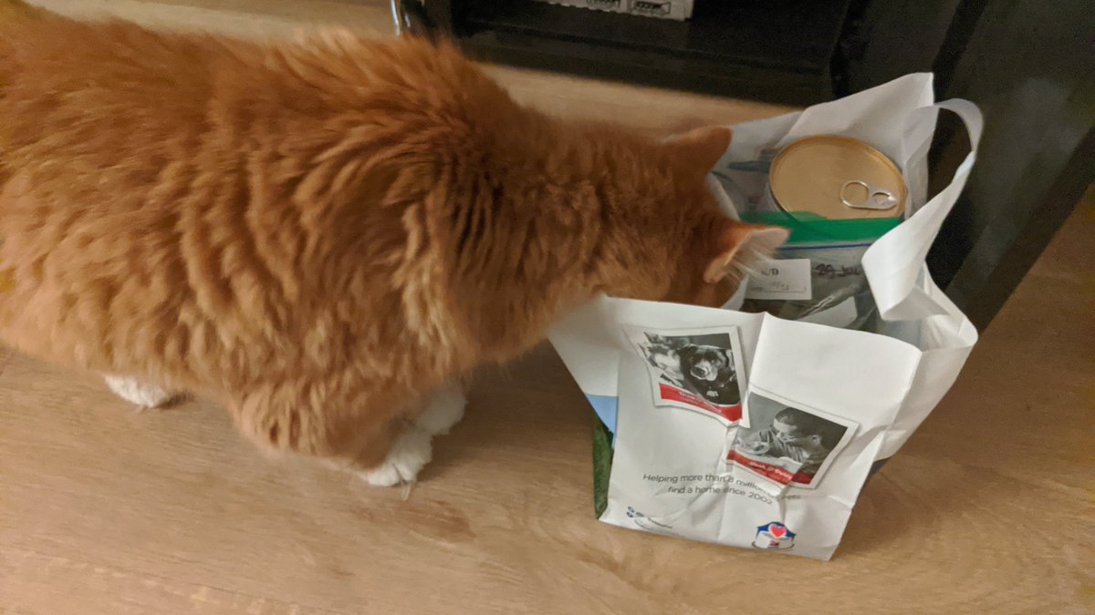 This certainly assuades my fears as to whether he's going to tolerate a diet change. He sniffed this bag out from around the door of the cabinet I stashed it in!C'mon, cat. I've gotta go to bed.