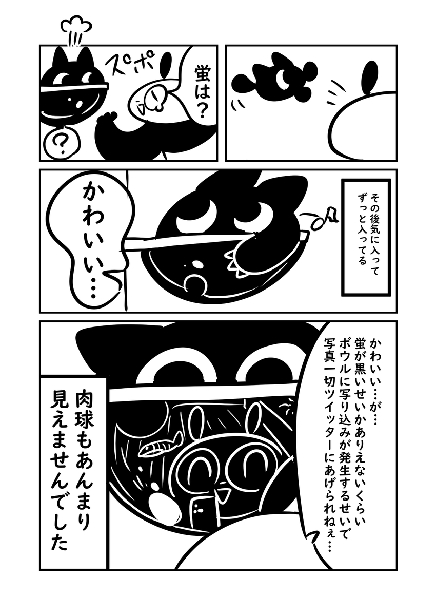 猫用にスケスケ丸見え寝床買ったら恐怖された件 

#猫パン日記 #ぬら次郎日記 