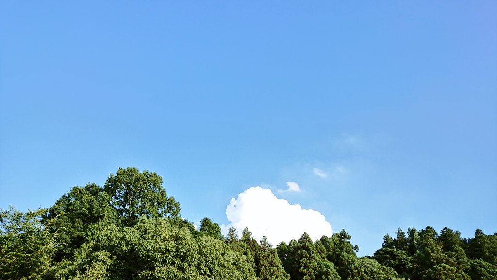 yurie_mon's tweet photo. 四国もようやく梅雨明けしました❗
仕事帰りに見たすごく大きな入道雲。
写真は撮り損ねちゃったけど
テンション上がりました~(≧∇≦)/
#四国 #梅雨明け
#暑い夏が待ってる #青空
#キリトリセカイ #空がある風景
#空が好き #photography
#雲 #clouds #cloudspic https://t.co/Gn8pfV2xJS