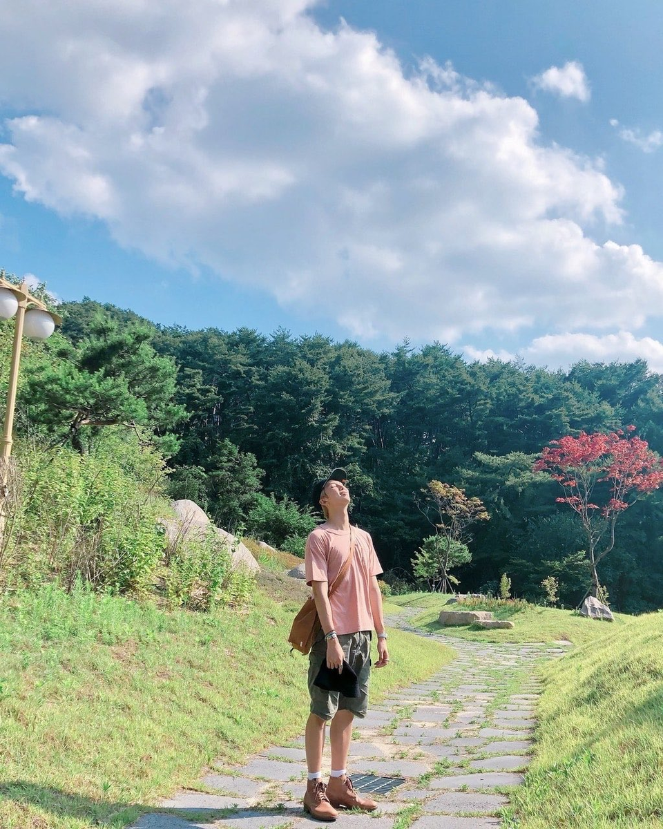 1. Namjoon - Whale SharkWhale sharks are sharks! They're super docile and friendly. Also, they're one of the largest fish in the world and share more similarities with whales than sharks.