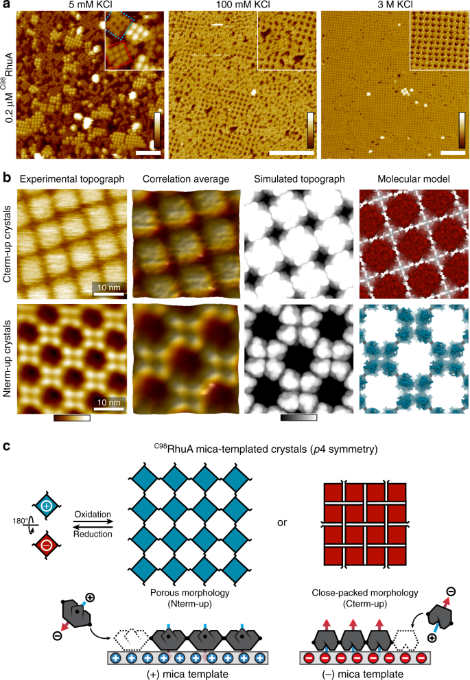 The @tezcanlab &amp; James J. De Yoreo Lab show modular self-assembly of an engineered protein into 4 distinct patterned 2D crystals via control of four classes of interactions.

<a href="/DK00711/">DK0071</a> @robalberstein

go.nature.com/338HRIH