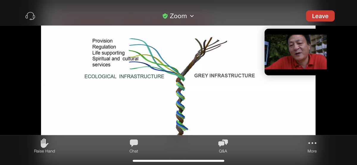 Frodo1977's tweet photo. #Webinar #Sponge #Cities: Leveraging Nature as Ecological Infrastructure by Prof Yu Kongjian @The_CLC_SG #EcoPuncture #Academy #water #Flood #Drought #Pollution #HabitatLoss download slides: https://t.co/soCt7HxPMV https://t.co/MIfzAejgjZ