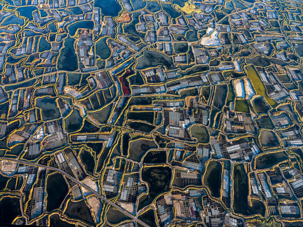 vjoncheray's tweet photo. Les marais salants de Guérande ce matin au lever du jour en helicoptere
@villedeguerande @VilleDeLaBaule #maraissalants @loireatlantique https://t.co/T09bDElpnh