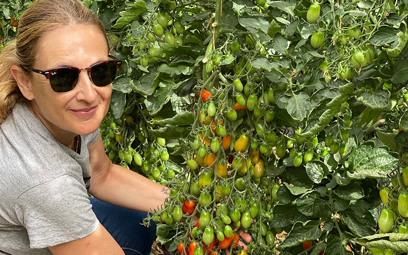 Portagrano's tweet photo. 🆕🆕Dormaplum y Ultimate. Lo nuevo en cherry de Tomatech🍅
https://t.co/wc5TGTjMYI
María José Flores Membrives, técnica comercial de #Tomatech, con la variedad #Ultimate. Las otras tres imágenes son de #Dormaplum
https://t.co/wc5TGTjMYI
#agricultura #semillas #tomates #tomatoes https://t.co/nhC0izHtHk