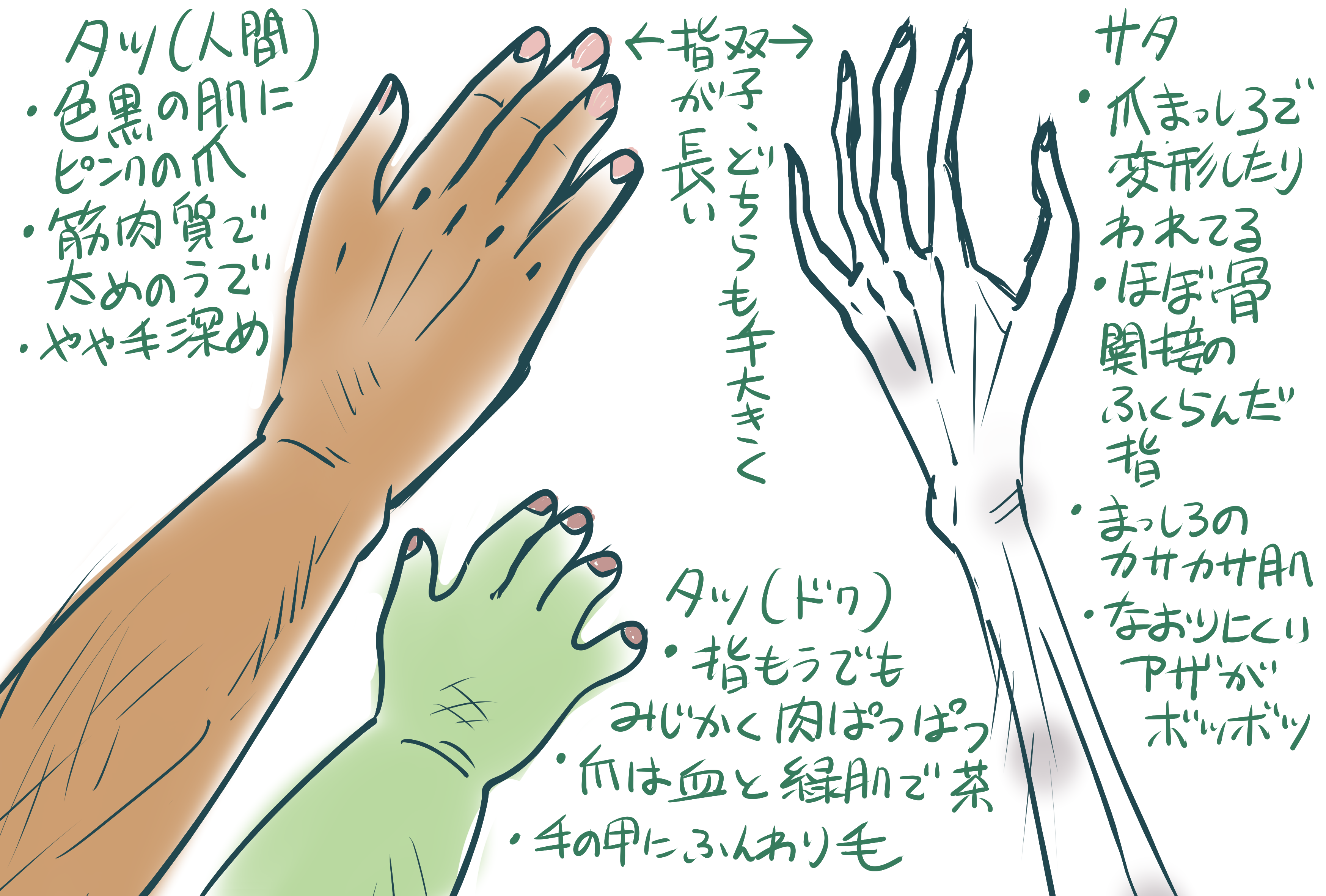 Waya Dq10創作マイキャラの手 こういうので双子の差別化できるのたのしー わやさんムダ毛大好きなのですぐ毛を描く T Co Guht6jfzmh Twitter