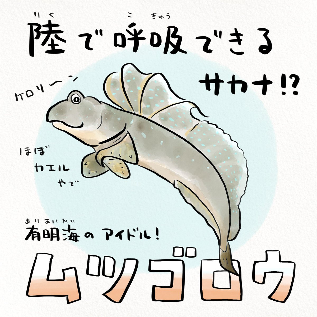 Twoucan ムツゴロウ の注目ツイート イラスト マンガ Twoucan ムツゴロウ の注目ツイート イラスト マンガ