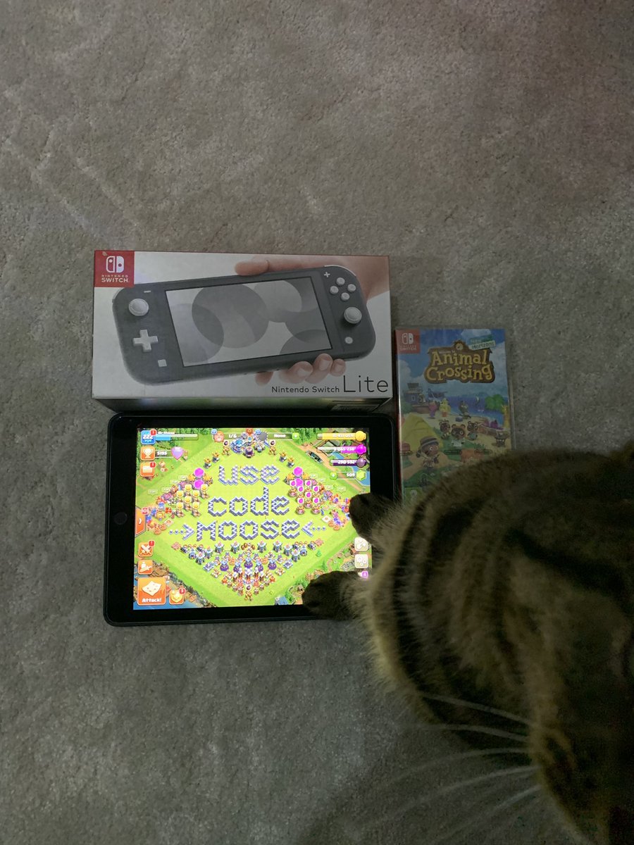 Sir Moose tweet media