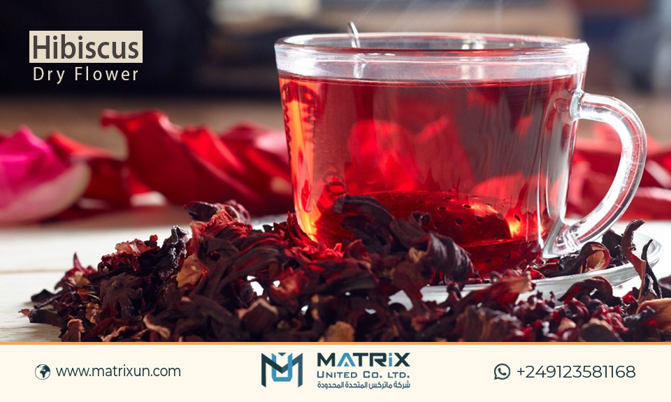 matrixunitedltd's tweet photo. Hibiscus plants are known for their large, colorful flowers.
.
.
.
Get Quote From here 👉 https://t.co/7tFInR4TYe
.
🔥 We never compromise on quality!
.
🌎Worldwide shipping available.
📲+249123581168
✉️Sales@matrixun.com https://t.co/W7mEW1EspO
