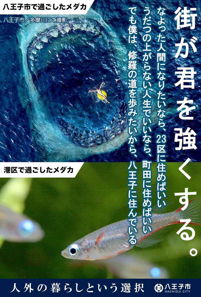 何から何まで間違っている？八王子市移住奨励の誘致ポスターのデザインwww