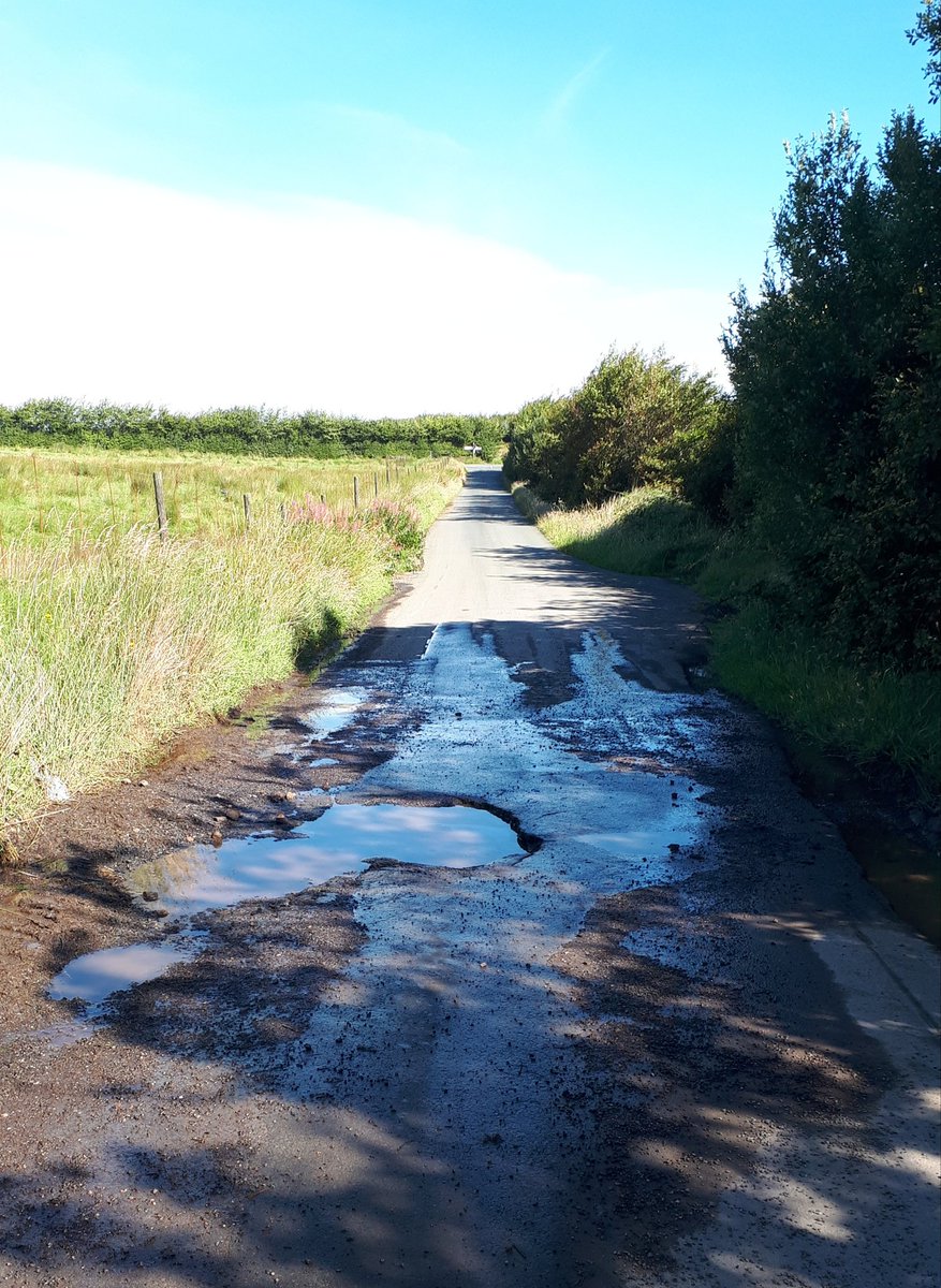 Blindwell Bunkhouse tweet media