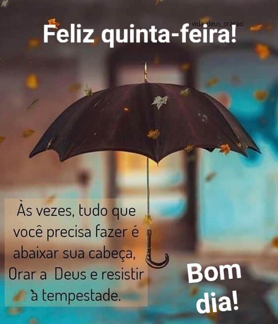 Luciana Castro on Twitter: Luciana Castro on Twitter: