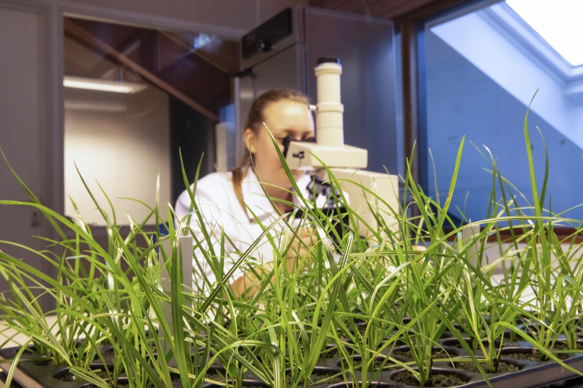 BarenbrugNL's tweet photo. Zaadtechnologie biedt klimaatbestendige oplossingen: https://t.co/O5BNAY8mCW
#klimaat #zaadtechnologie #biodiversiteit #bodem https://t.co/zqGPHiSSn5