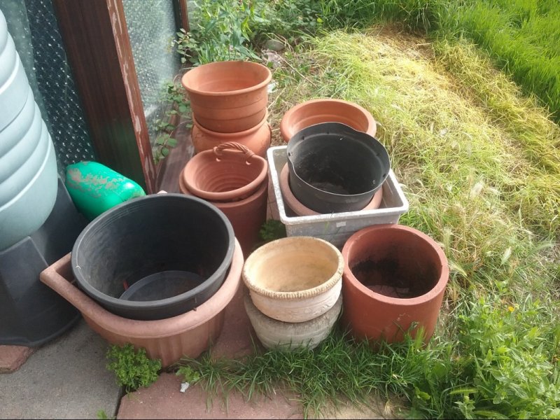 FreegleSandy's tweet photo. OFFER: Various pots and rockery stone (Sandy SG19) https://t.co/21LoiAHw3j https://t.co/6D8nfCaSIK