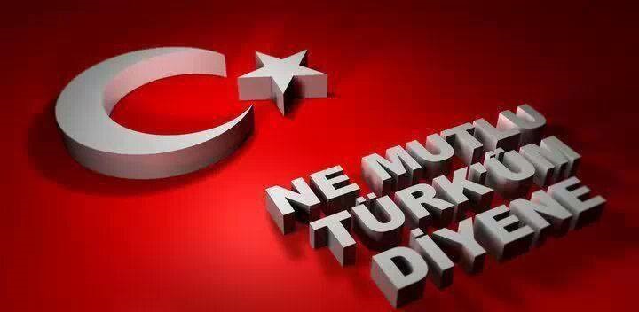Resim