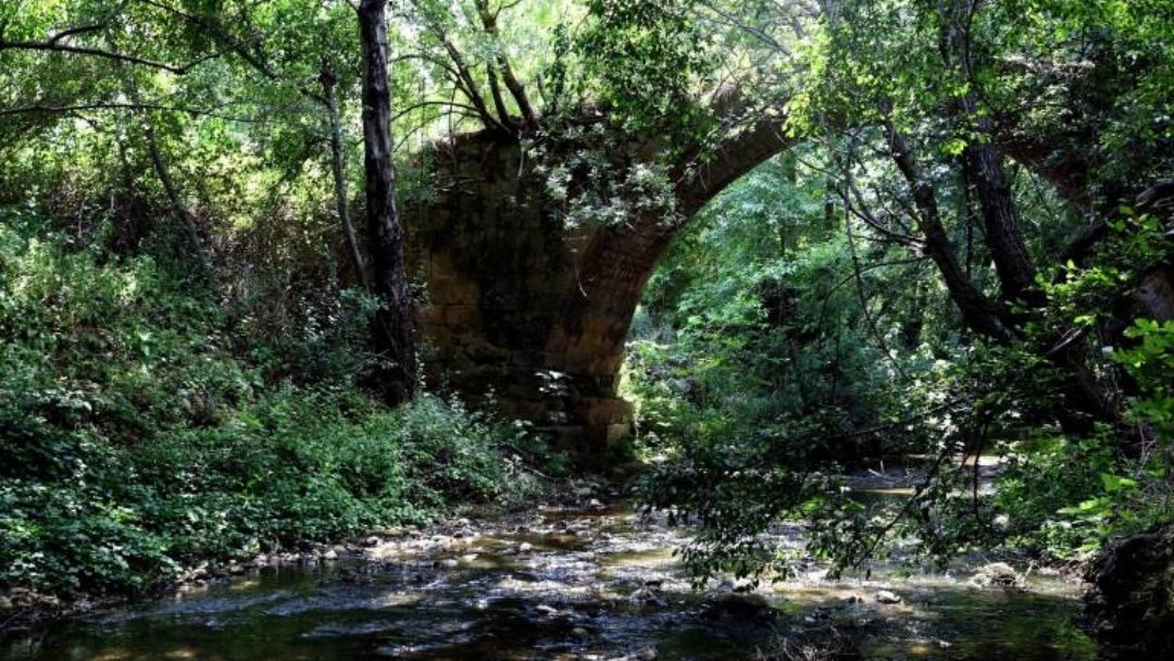 طبعًا ما رح إدخل بكل تفاصيل المخالفات الثقافية والأثرية والبيئية لمشروع  #سد_بسري لأن بدو ثريد لوحدهواضح وضوح الشمس تغيير الإصطفافات عندما بتلتقي المصالح السياسية، من التيار ومن غيروالآثار الرومانية والجسور والأشجار المعمّرة شاهدة على الجرائم وخير دليل على المجازر يلي رح ترتكب