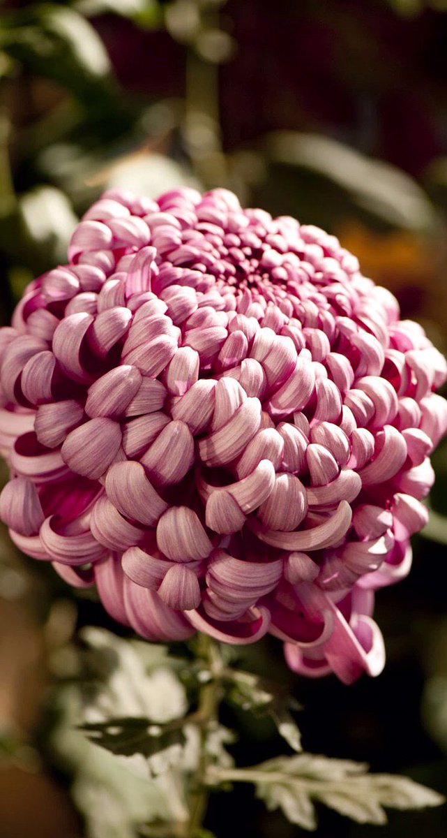 {  تصبّر هَـا هُنا تعبٌ،  وفي الجنَّاتِ لا غُمة ولا نصب }