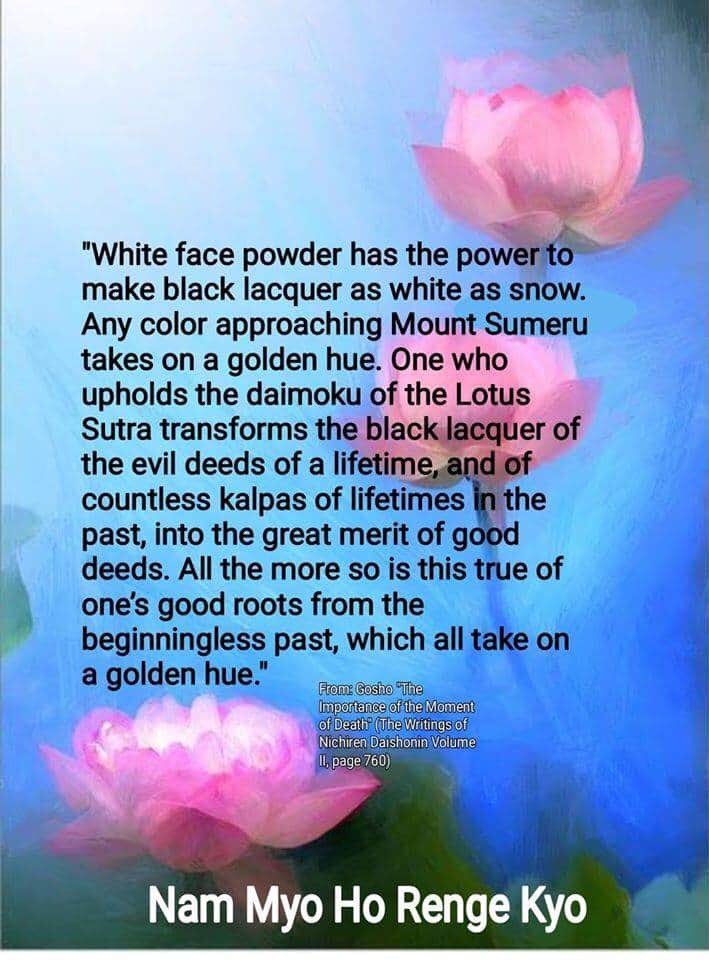 susananderton5's tweet photo. #buddh #Buddhism #nichiren #buddha #Sokka #soka #sokai #buddhism #nam #myoho #renge #kyo #FolloForFolloBack #follo4follo #follo4folloback #follobackforfolloback #follotrick #RETWEEET https://t.co/Buj8tcT0jB