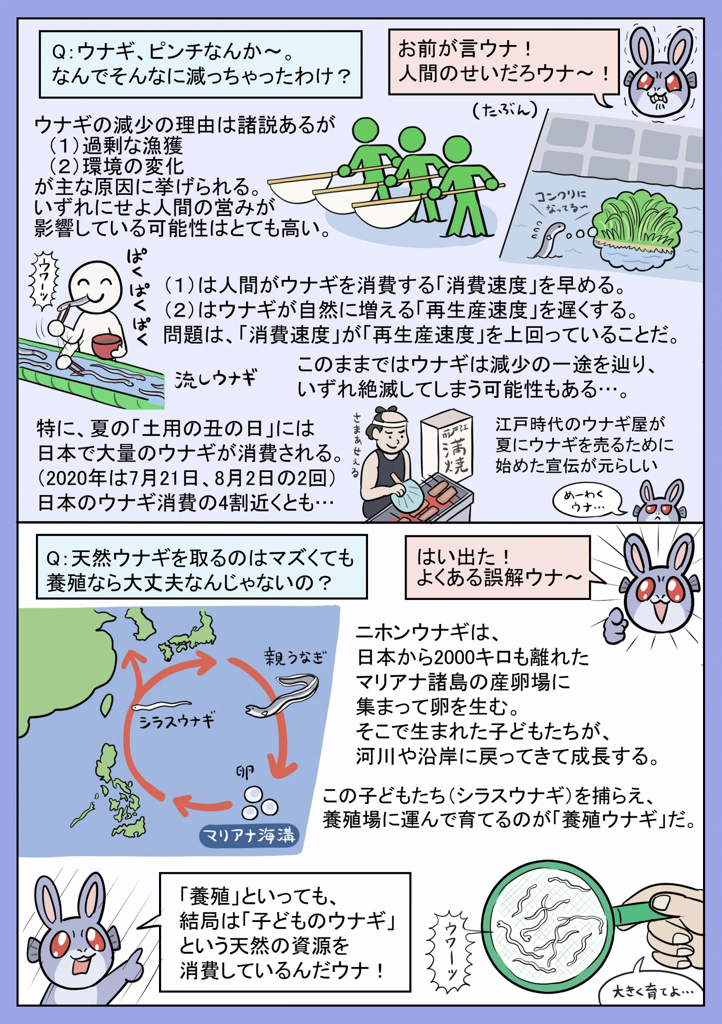 間違って覚えていたことも多い？わかりやすい「ウナギ問題」まとめ！