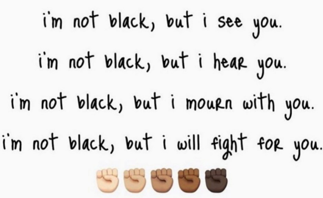 TreeHuggr70's tweet image. 