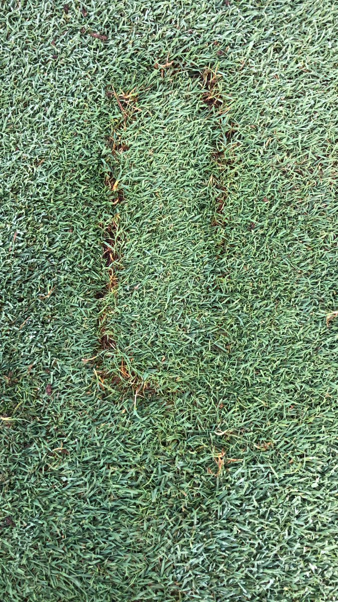 Please puts these back in the divot they came from. Not hard to do