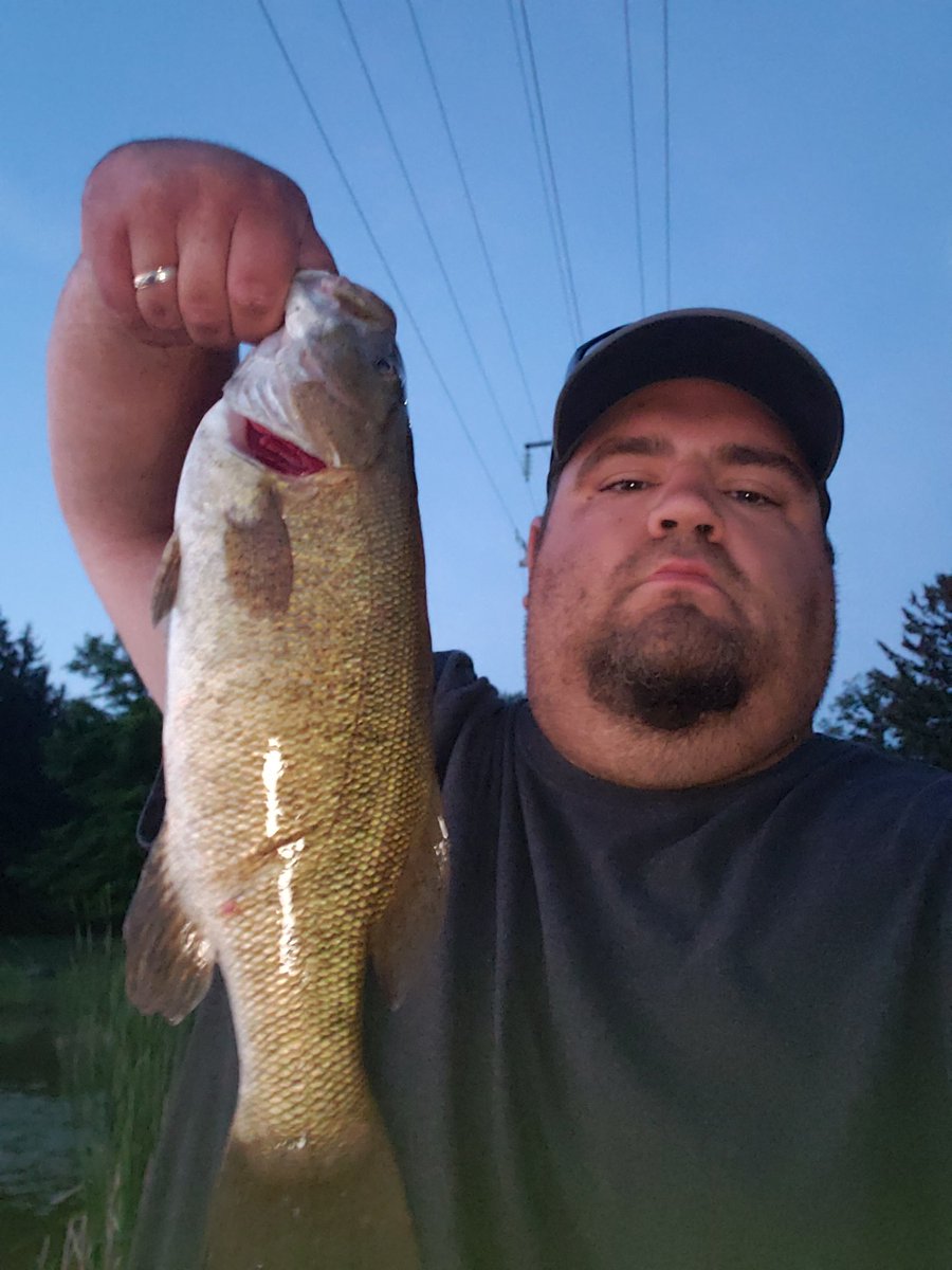 GregSmi20185386's tweet photo. A few catches from Bass opener here in zone 16 ontario back at the end of June. #yumdinger #uglystik #googanbaits https://t.co/H8gQW4wsJq