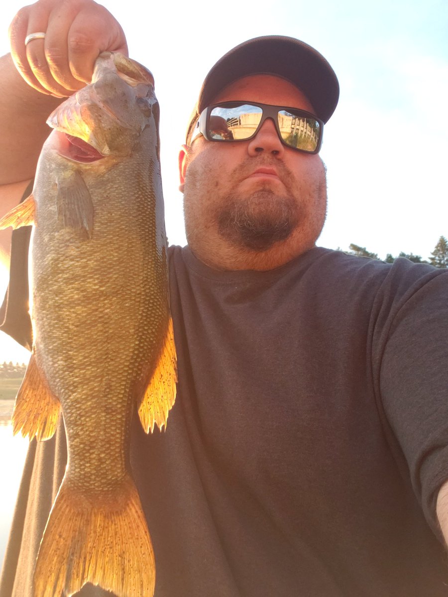 GregSmi20185386's tweet photo. A few catches from Bass opener here in zone 16 ontario back at the end of June. #yumdinger #uglystik #googanbaits https://t.co/H8gQW4wsJq