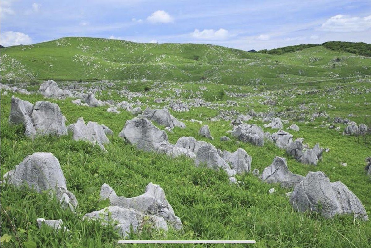 高校地理お助け部 در توییتر カルスト地形 カレンフェルト 石灰岩の塊が地表に転がっている野原 山口県の秋吉台が代表例 地下には鍾乳洞も見られる