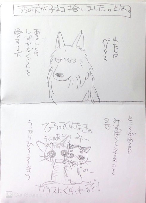 竜山さゆり Sayuritatsuyama さんのマンガ一覧 ツイコミ 仮